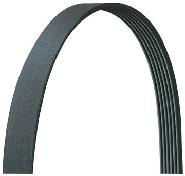 Serpentine belt for - serpentine,