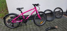 Frog bike - frog, 55