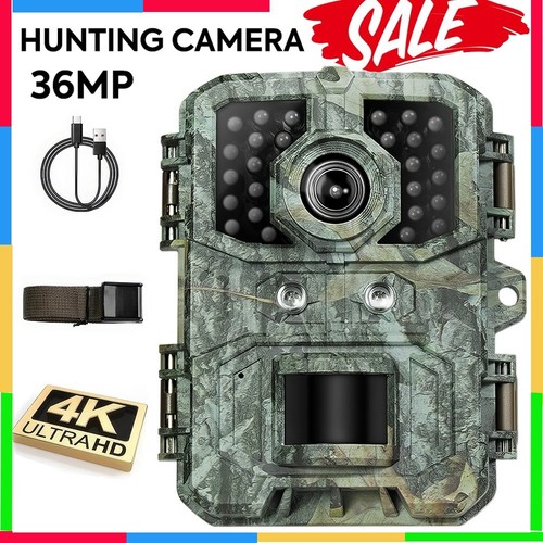 Outdoor scouting wildlife - outdoor,