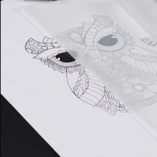 20-100 Sheets A4 Translucent