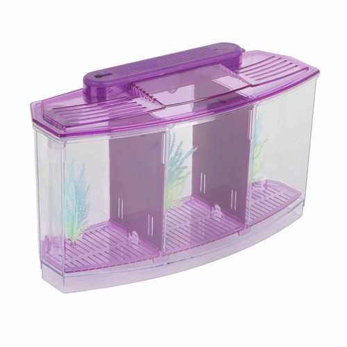 Breeding isolation box fish - breeding,