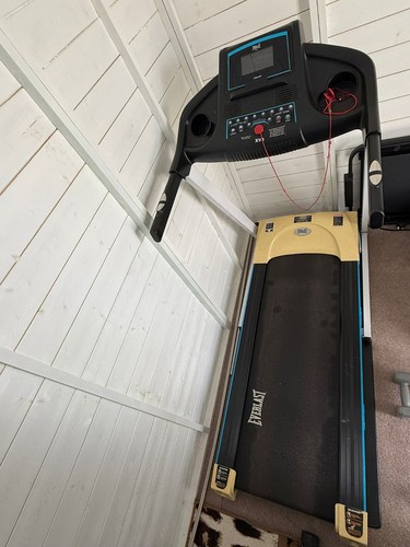 Everlasting treadmill - everlasting,