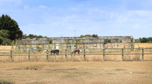 Photo 6x4 derelict glasshouse - 6x4,