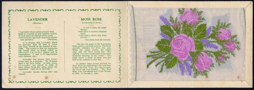 Wix kensitas flowers - wix,