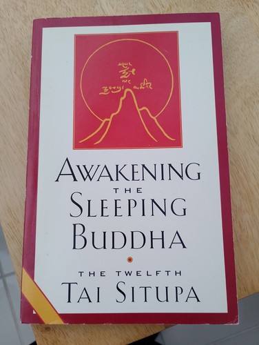 Awakening the sleeping buddha - awakening,
