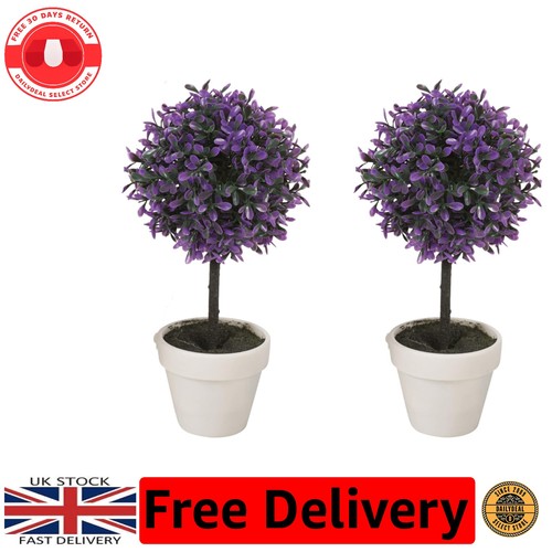 Set medium 27cm - of, 2