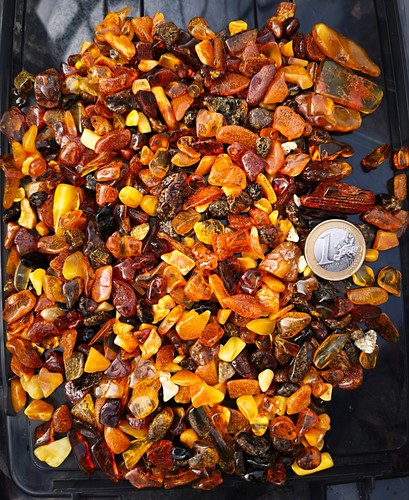 Natural amber pieces loose - amber,