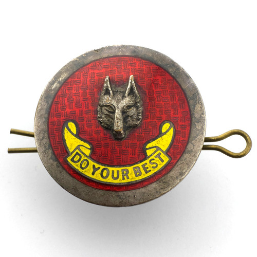 Vintage boy scouts - wolf, cubs