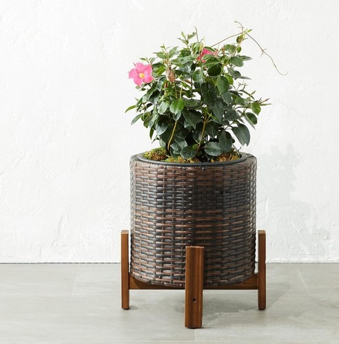 Brand new plant pot - brand,