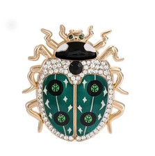 Unusual Green & Gold Beetle