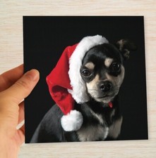 Black Chihuahua Christmas Cards & Packs Cute Dog Puppy Xmas Cards FREEPOST