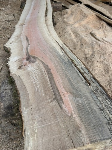 Barn dried roughsawn spalted - dried,