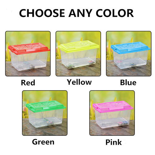 Plastic aquarium fish tank - plastic,