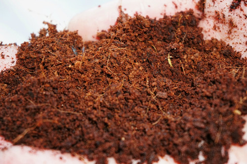Litre coconut coir coco peat - 1,