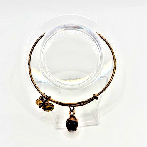 Alex and ani - cupcake, charity