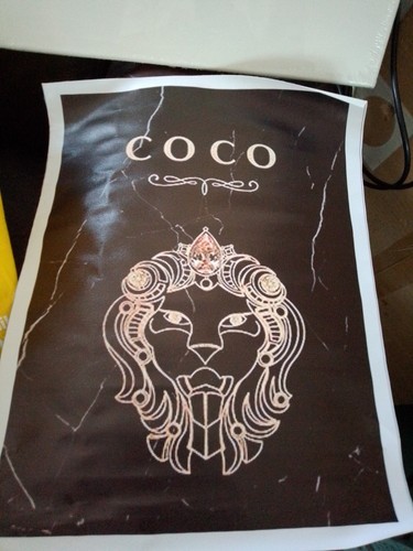 Coco chanel canvas - chanel, print