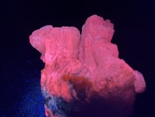 KB: GREAT! FL & PHOS. BLUE/WH