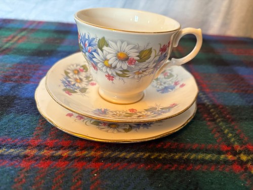 Royal kent vintage - vintage, bone