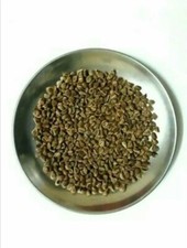 100 Fresh  Rose flower Seeds