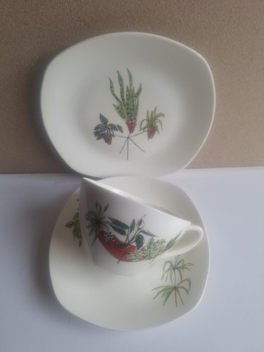 Midwinter plant life cup - plant,