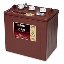 6V Trojan T125 240AH Semi