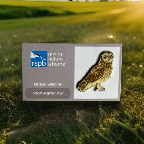 Rspb pin badge short - short, eared