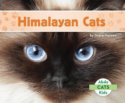 Himalayan cats - himalayan,