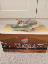 Tuskers Elephant Having Snow