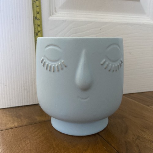 Flying tiger pale blue - tiger, ceramic