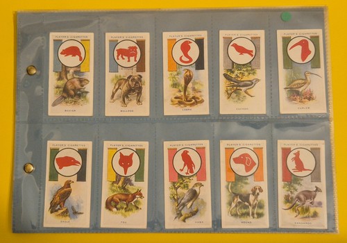 Player boy scout girl - player's, &