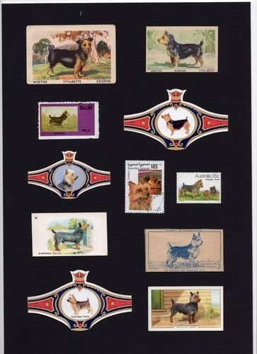 Australian terrier mounted set - australian,