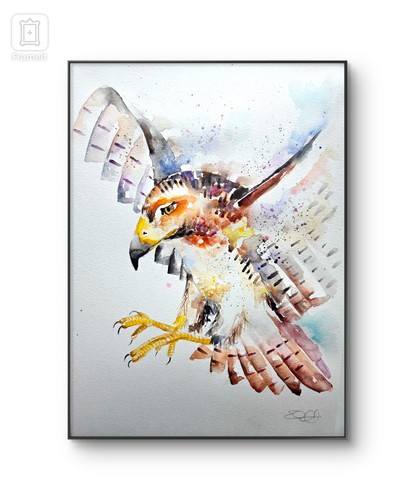 Original falcon watercolour - original,