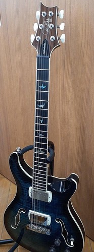 Prs electric guitar - prs,