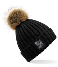 Yorkshire Terrier Yorkie Owner