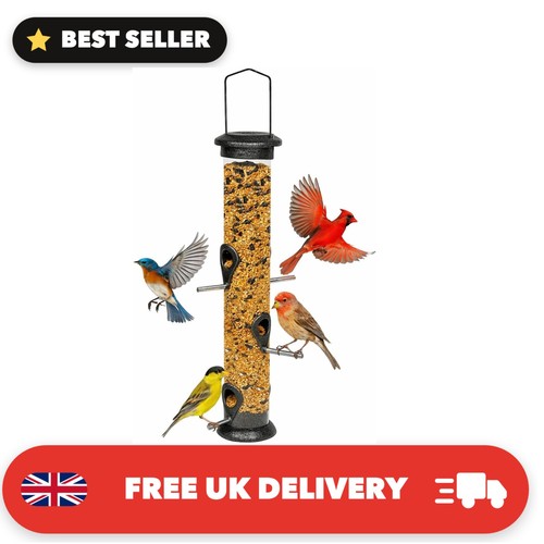Weather resistant niger seed - weather,