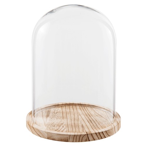 Glass display cloche bell - cloche, jar