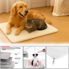 Self heating pet - pet, cat