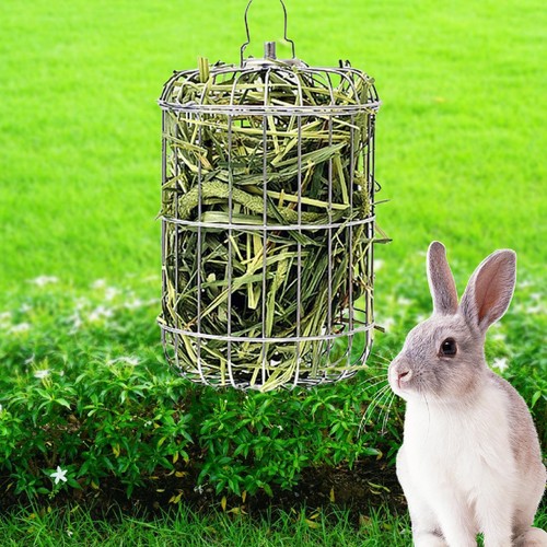 Rabbit hay holder bunny feeder - hay,