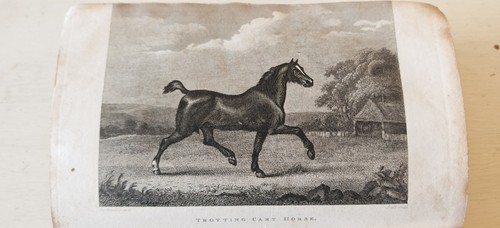 The sporting magazine 1818 - sporting,