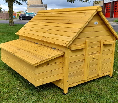 Large chicken coop - large,