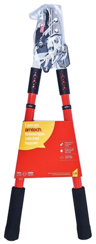 Telescopic ratchet anvil - telescopic,