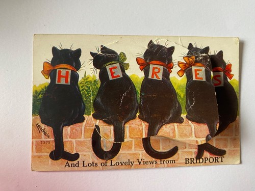 Louis wain postcode black - louis,