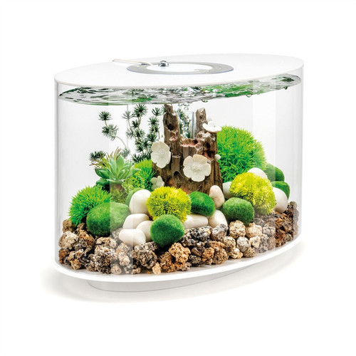 Biorb loop aquarium - aquarium, tank