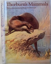 Archibald thorburn mammals - archibald, thorburn's