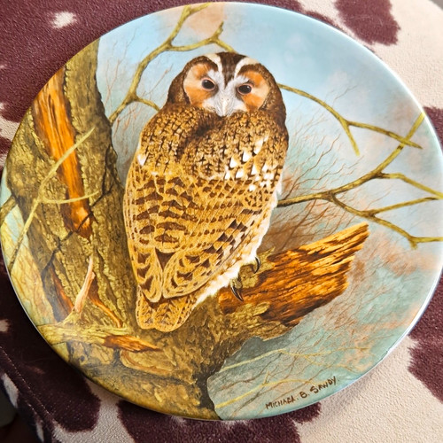 Coalport bone china - china, the