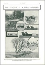 1903 HORSE RACING Training Steeplechaser Jumping Lunge Ditches Hurdles (77)
