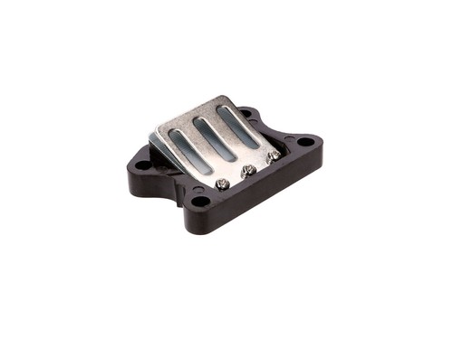 Reed valve assy racing - valve,