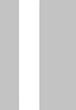 Twin 4mm 2mm flat silver - twin,