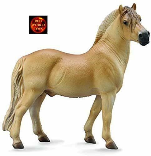 Norwegian fjord pony stallion - norwegian,