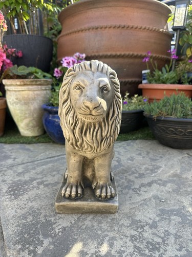 Cute lion concrete garden - lion,